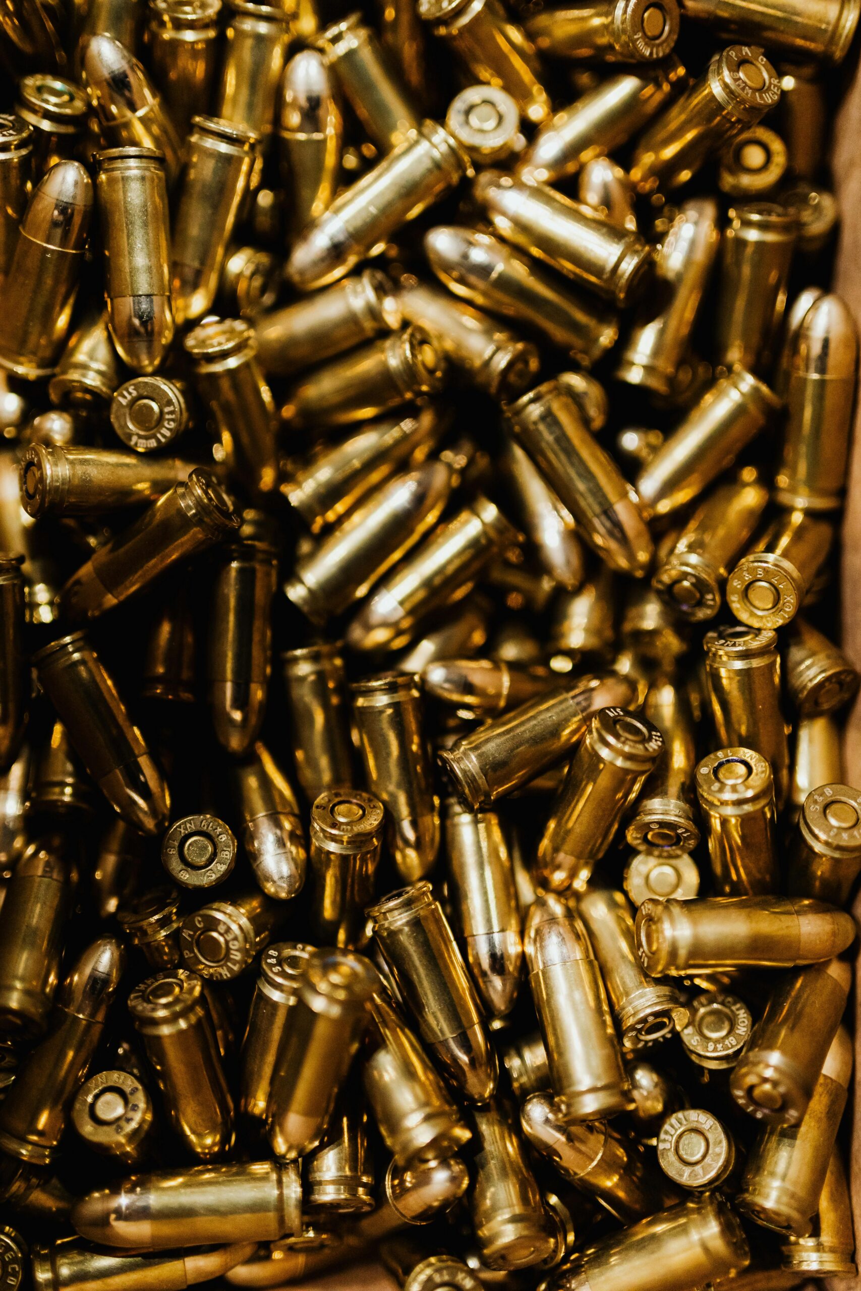 Guns, Insurance, and the Political Determinants of Health