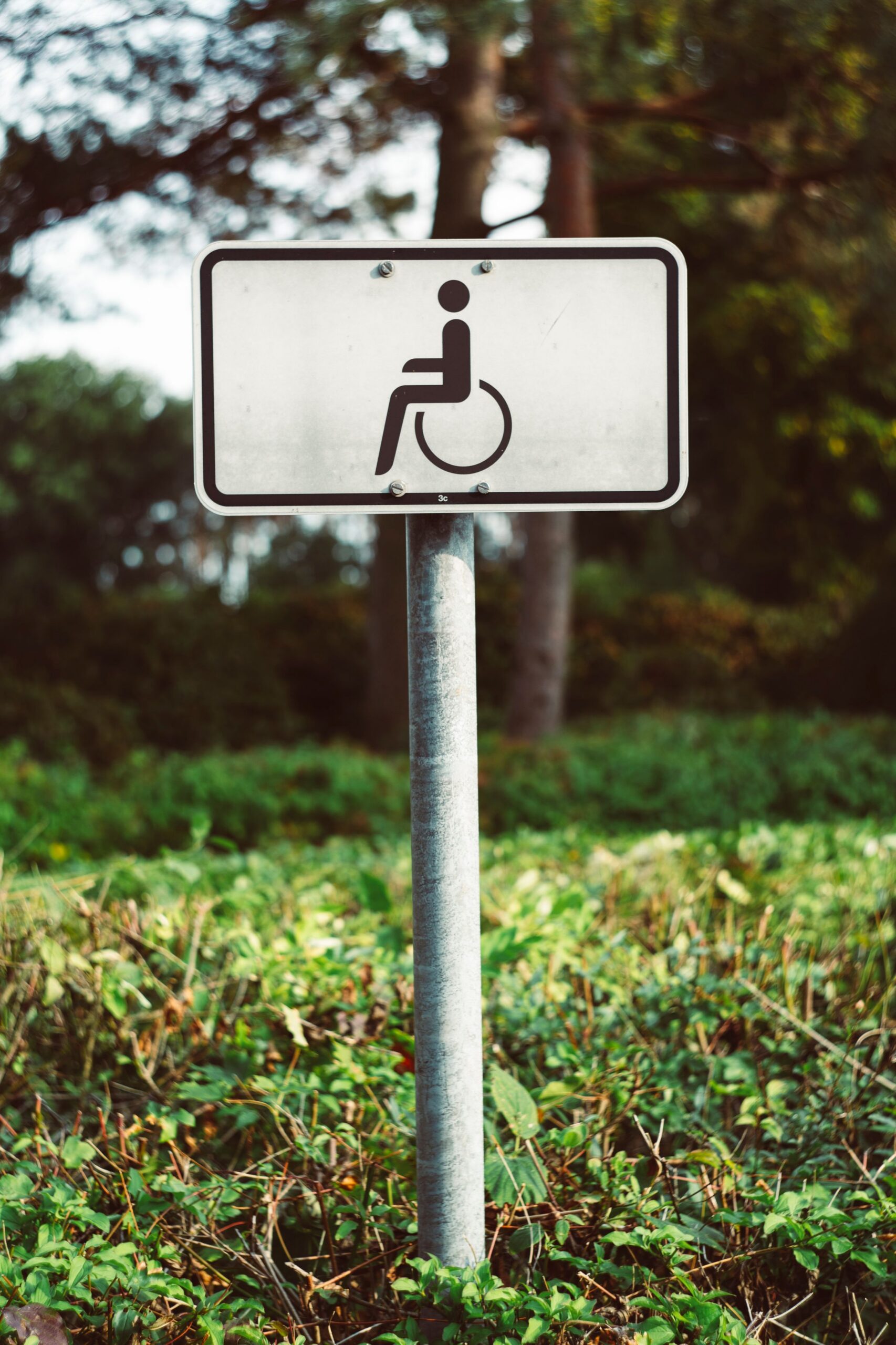 The Slippery Slope of the DOJ Slip Opinion: A Threat to Disability Integration